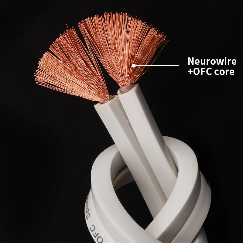 YYTCG DIY Loud Speaker Cable H - đánh giá và giá Klipsch Home Cinema